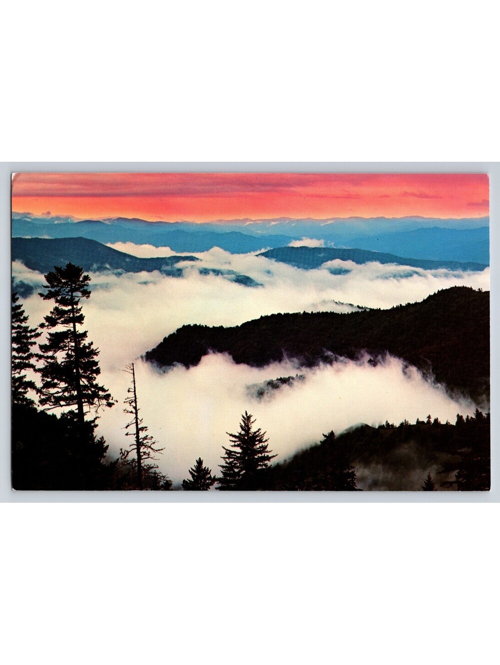 Above The Clouds Sunrise Great Smokey Mountain Park Tennessee Postcard Oversized